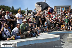 Tony hawk, Andy Macdonald, and other professional skateboarders at the ann arbor skatepark grand opening in ann arbor, michigan